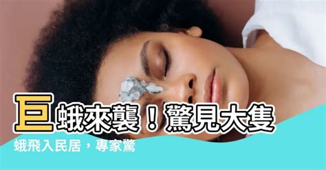 蛾 風水|七月蛾蟲來襲，預示何種凶兆？